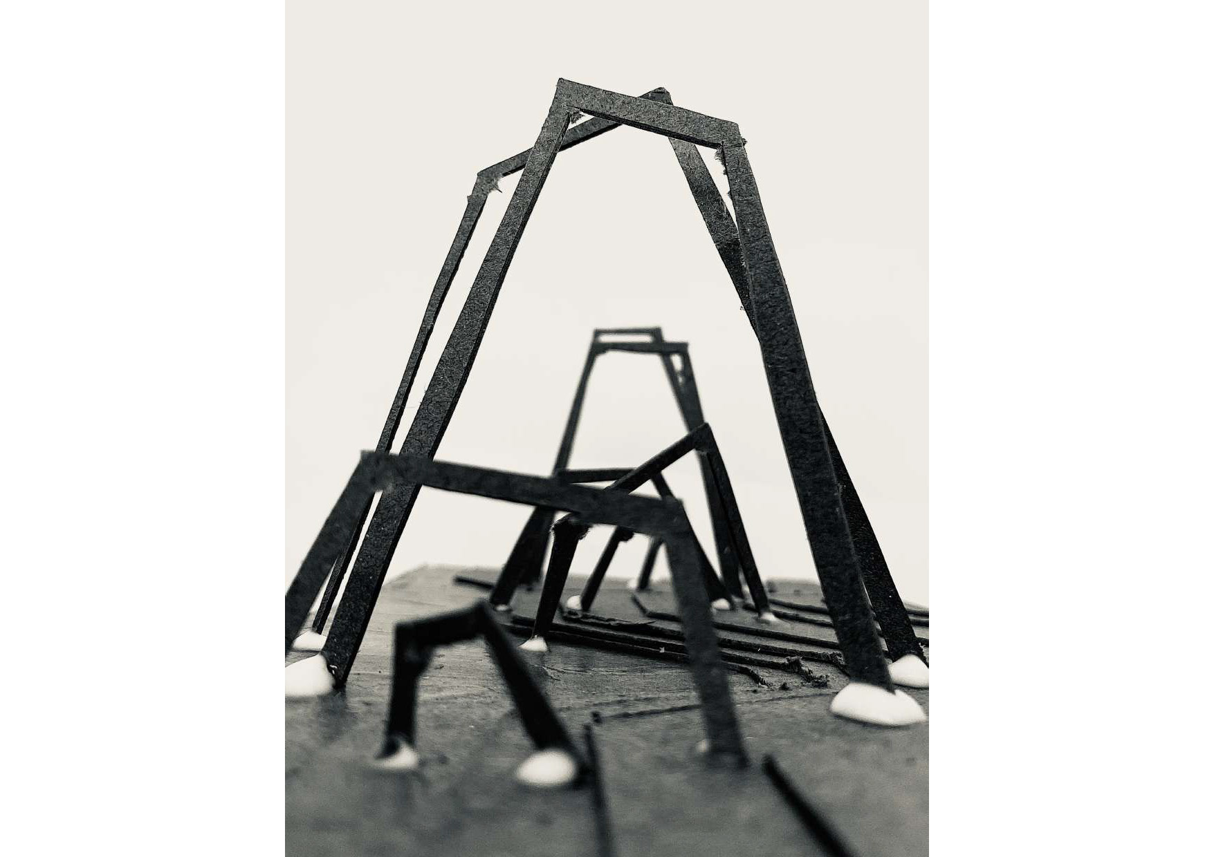 Aviario en lago de la casa de campo - P3 2023 24 BENITEZDESOTO SANTIAGO EJ1 PROCESO Página 06